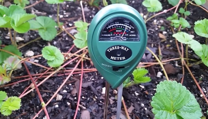 The Best Soil pH Testers For Lawns and Gardens in 2022