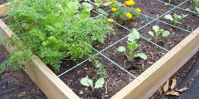 What is the Best Soil for Raised Garden Beds?