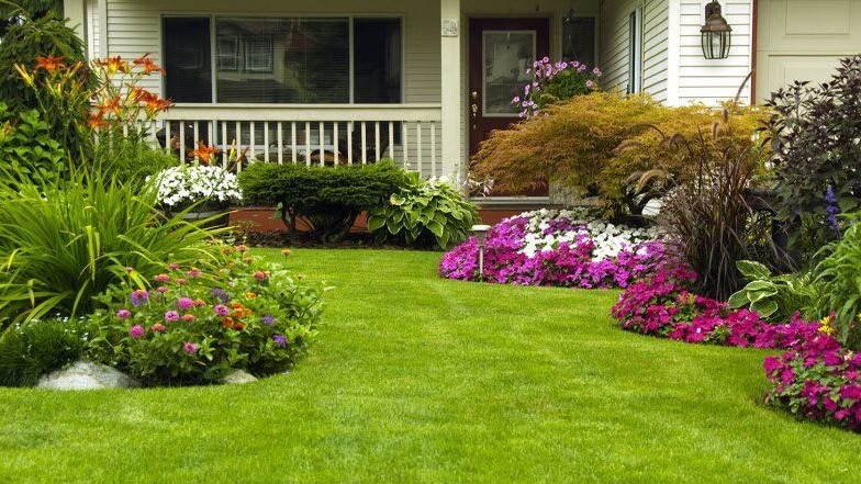 The Best Liquid Fertilizers For Lawns Green & Growth in 2022