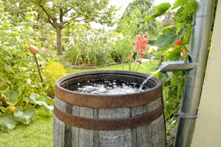 The Best Rain Barrels For Your Garden and Backyard in 2023