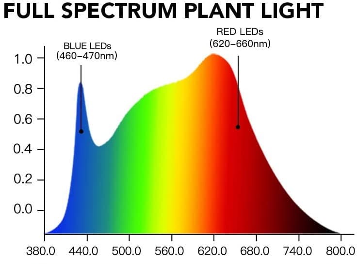 Color Spectrum in Grow Lights