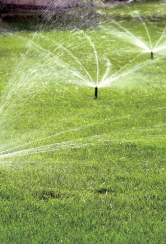 Types of Lawn Sprinklers That You Need to Know