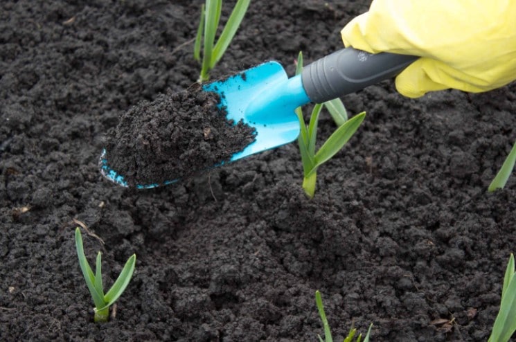 When to Use Topsoil?