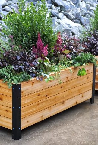 How Deep Does a Planter Box Need to be for Vegetables