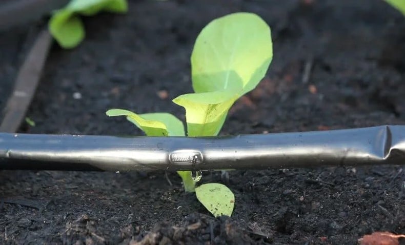 What is drip irrigation?